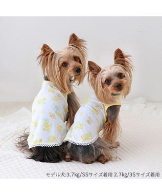 PET PARADISE ペットパラダイス はじめてタンクトップ 《ミモザ柄》 小型犬 ミモザ柄