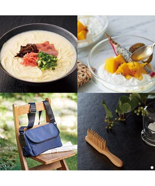 antina gift studio 沙羅(さら) e-order choice(カードカタログ) ＜白百合(しらゆり)＞ -