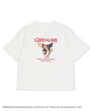 WEGO 【トムとジェリー/グレムリン/バットマン/ユニセックス着用ITEM/SMLサイズ展開】キャラクターズグラフィックT1（SS） 柄7