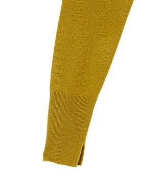 JOSEPH 【洗える】ライトピュアカシミヤニット Amber