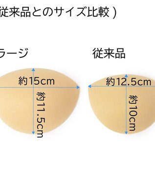 Chacott ソフトカップ（3/4タイプ）ラージ ベージュ