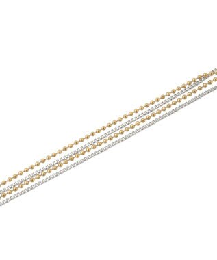 AMERICAN HOLIC 【ステンレス】2ラインネックレス Mix