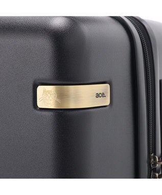 ACE BAGS & LUGGAGE HAyU × ace.  パキラ スーツケース 34L 機内持込 05781 エース ブラック