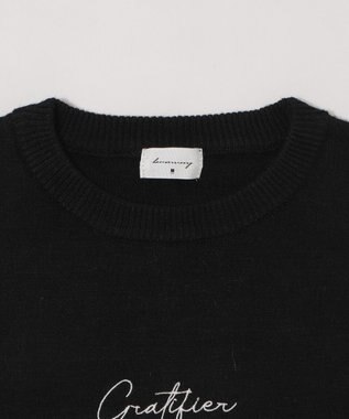 WEGO 【ユニセックス着用ITEM/SMLサイズ展開】アクセ付きワンポイントニットプルオーバー ブラック