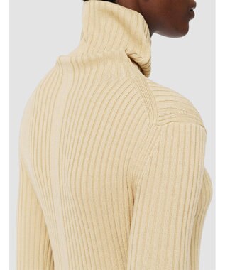 JOSEPH 【洗える】シルクブレンド　ハイネックニット Champagne