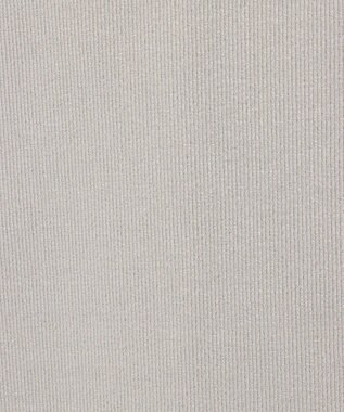 CRAFT STANDARD BOUTIQUE ラメテレコタンクトップ Ivory