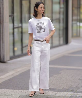 J.PRESS LADIES L プリント Ｔシャツ ホワイト系