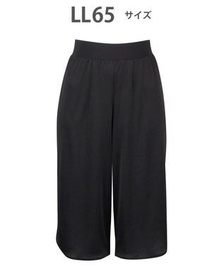 WACOAL キュロットペチコート 65cm丈 静電気が起こりにくい(身生地) HDB522 /ワコール