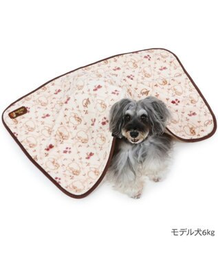 PET PARADISE ディズニー わんわん物語 レディ ブランケット ベージュ