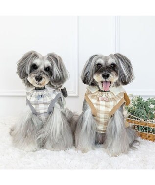 PET PARADISE スヌーピー  シブリングス トレーナー 《ブラウン》 小型犬 ライトブラウン