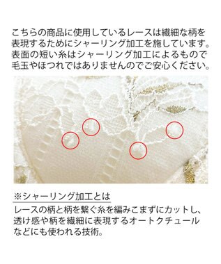 BRADELIS New York 【BRADELIS New York】ローズステップ２ブラ23S1 育乳補整 ふんわり寄せて脇まですっきりする補整ブラ ホワイト