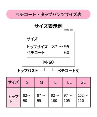 Wing キュロットペチコート　ウイング／ワコール　EH6201 シナモンブラウン