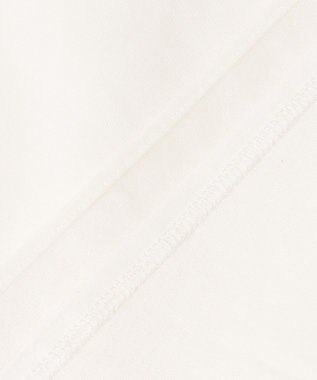 ICB L 【洗える】 シアージャージー カットソー オフホワイト系