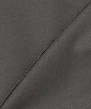 J.PRESS LADIES 【WEB限定】ダンボールニットジャージー カットソー グレー系