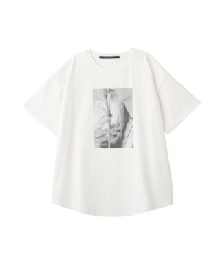 YECCA VECCA 【UVカット】フォトプリントTee Off White