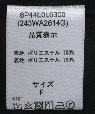 Green Parks ■ＥＳＣＡＲ　フロントフリルフレアスカート Black