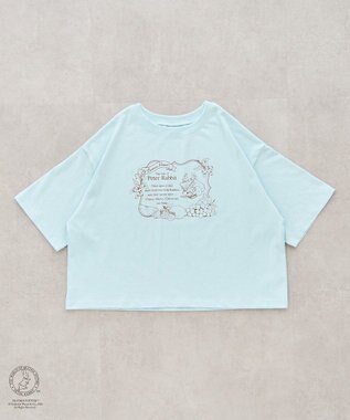 earth music&ecology Ｐｅｔｅｒ　Ｒａｂｂｉｔ?／ｅａｒｔｈ　フルーツＴ Sax