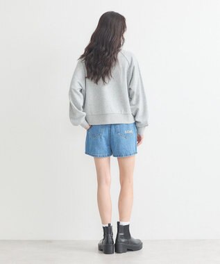 earth music&ecology チャンピオン　ｅｍａｅハーフジップ裏毛プルオーハ Gray Mixture