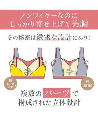 BRADELIS New York 【BRADELIS NewYork peace】　素肌しっとりハッピーバストブラ23 とろけるような肌ざわりで美胸メイクする補正ブラ パールグレージュ