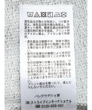 AMERICAN HOLIC ミニ裏毛ロゴスウェット2 Light Gray Mixture