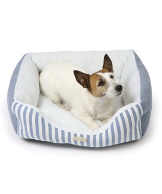 PET PARADISE ペットパラダイス　ストライプカドラー《 ブルー》 小型犬 ストライプ ブルー