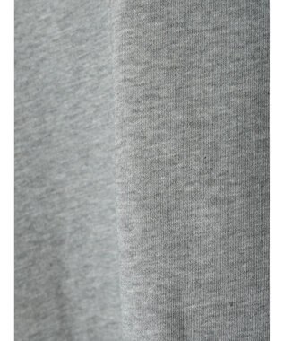 AMERICAN HOLIC ミニ裏毛ロゴスウェット2 Light Gray Mixture