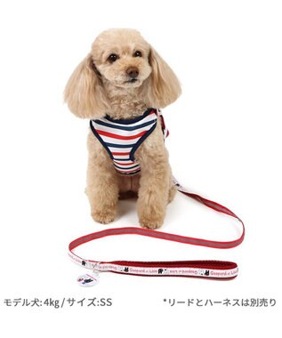 PET PARADISE リサとガスパール 反射リード ４Ｓ~３Ｓ 超小型犬 -