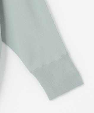 J.PRESS LADIES 【洗える】 レーヨンエリートストレッチ ドルマンスリーブ ニット ライトグリーン系