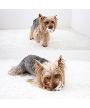 PET PARADISE スヌーピー 野球 ラテックストイ 小型犬 超小型犬 ホワイト