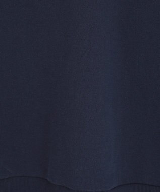 AMERICAN HOLIC カレッジロゴクラックプリント裏毛プルオーバー Navy