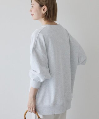 AMERICAN HOLIC カレッジロゴクラックプリント裏毛プルオーバー Gray Mixture