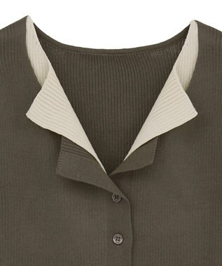 Green Parks ・Ｐｅｔｉｔ　Ｆｌｅｕｒ　バイカラーレイヤードニット Brown