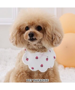 PET PARADISE ペットパラダイス  苺くるくるスタイ  小型犬