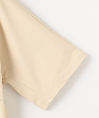 PW CIRCULUS 【撥水加工/ ストレッチ】【MEN】ハーフジップシャツ ゴルフ アイボリー系