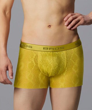WACOAL MEN ボクサーパンツ【レースボクサー】フロント快適グラマラス 通気性 フリーなカッティング(裾部分) 前閉じ レース 下着 GT3341 /ブロス バイ ワコールメン イエロー