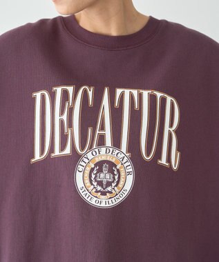 AMERICAN HOLIC カレッジロゴクラックプリント裏毛プルオーバー Brown