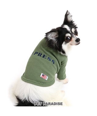 犬 服 J Press Tシャツ 小型犬 ワッフル 刺繍 犬服 犬の服 犬 服 ペットウエア ペットウェア ドッグウエア ドッグウェア ベビー 超小型犬 小型犬 Pet Paradise ファッション通販 公式通販 オンワード クローゼット