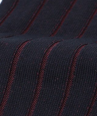 J.PRESS MEN 【定番】ハイゲージワイドストライプ リブソックス ネイビー系