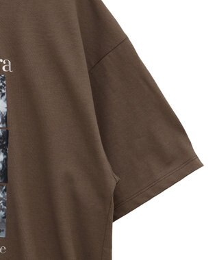 Green Parks フォトグラフィック半袖Ｔシャツ Brown