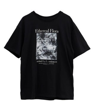 Green Parks フォトグラフィック半袖Ｔシャツ Brown