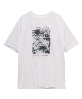 Green Parks フォトグラフィック半袖Ｔシャツ Brown