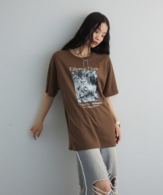 Green Parks フォトグラフィック半袖Ｔシャツ Brown