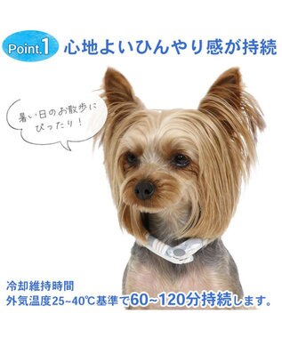 PET PARADISE クールリング 犬 クールネック ひんやり 28℃クールリング 【３Ｓ】 リフレクター 水色 ベージュ  反射材付き 水色 ３Ｓ