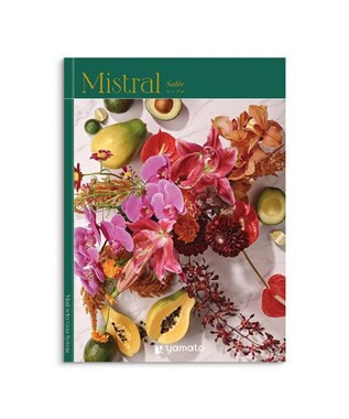 antina gift studio Mistral(ミストラル) ギフトカタログ＜セーブル＞