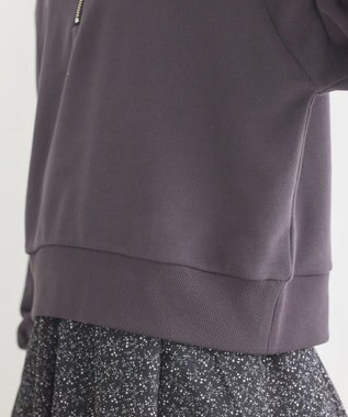 earth music&ecology チャンピオン　ｅｍａｅハーフジップ裏毛プルオーハ Charcoal Gray