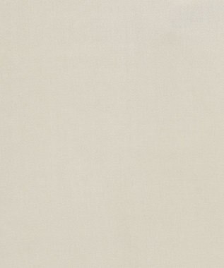 JOSEPH ソフトビスコーステーラリング　ノーカラーシャツ Quail