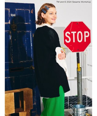 AMERICAN HOLIC Ｖネックベスト／セサミストリート Black