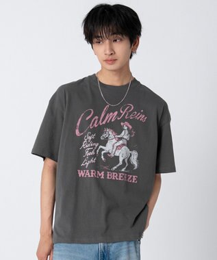 WEGO 【ユニセックス着用ITEM/SMLサイズ展開】アソートグラフィックBIG　T2（SS）