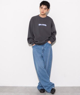 WEGO 【ユニセックス着用ITEM/MLサイズ展開/裏起毛】別注BENDAVISプランプロゴプルオーバー スミクロ