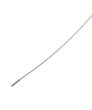 AMERICAN HOLIC ウェービースライドネックレス Silver